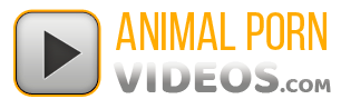 Animal Porn